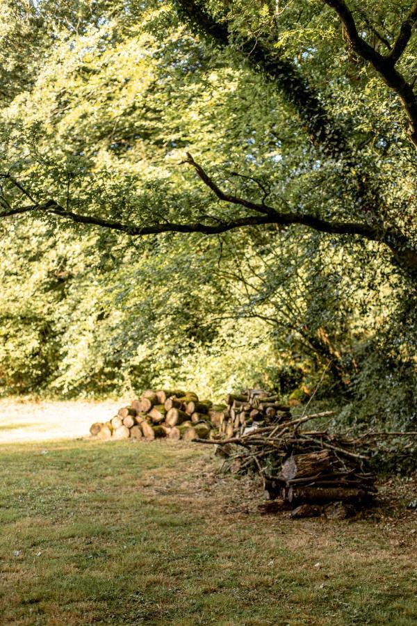 La Metairie Saint-Michel De Quinipily - Les Gites De Kerouzec - Nature Et Detente ボー エクステリア 写真