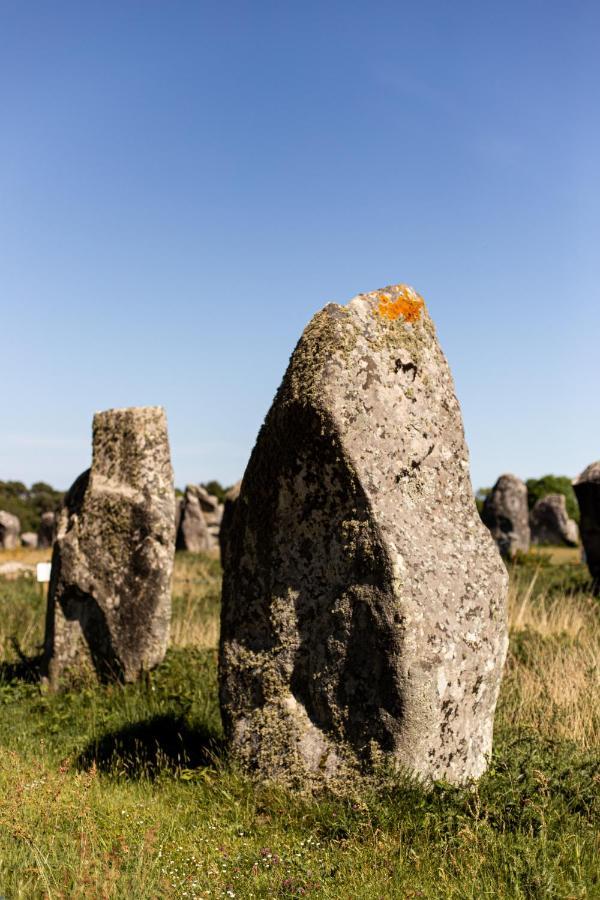 La Metairie Saint-Michel De Quinipily - Les Gites De Kerouzec - Nature Et Detente ボー エクステリア 写真